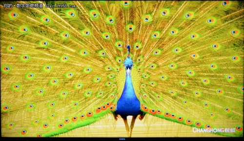 长虹chiq电视55q1r初体验图片,imax观影开启好还是关闭好