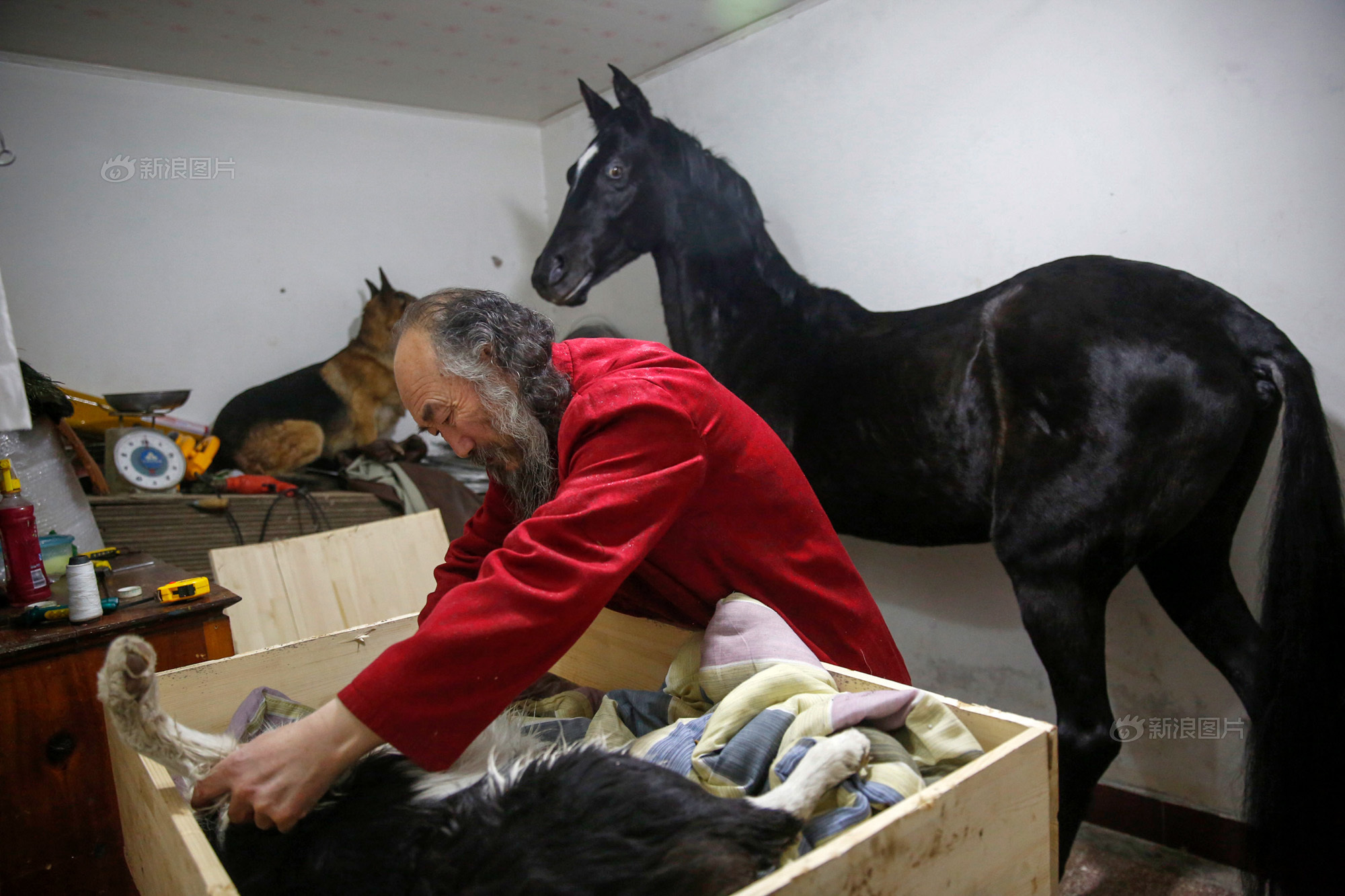 你会花1000元给宠物做殡葬吗,给宠物办葬礼你怎么看