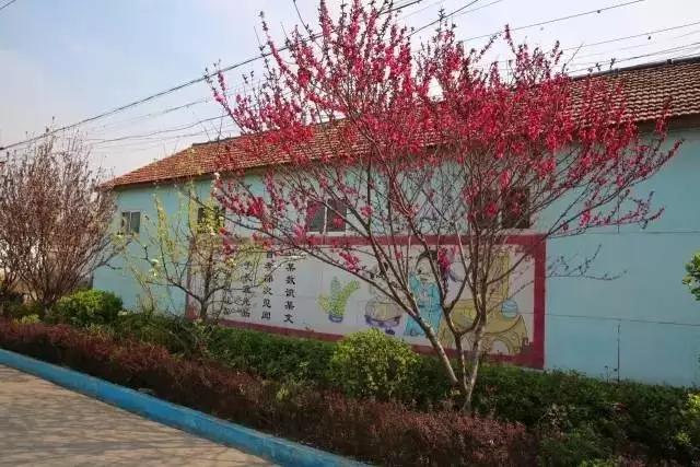 临淄:特色小镇的春天——金岭敬仲朱台齐陵