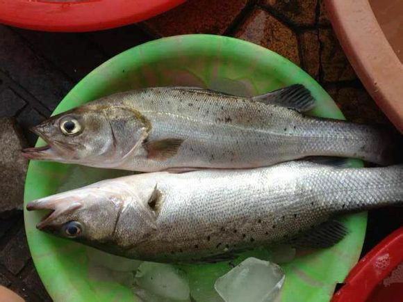 那些不认识的海鲜小干货,超级干货2022