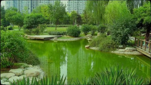 天津三月初哪个公园值得逛,天津最值得去的公园