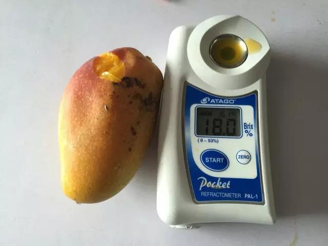 水果微商可以做什么生意,水果微商如何赚钱快