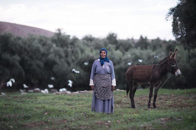 美的定义及其解说作者,美的定义是什么视频