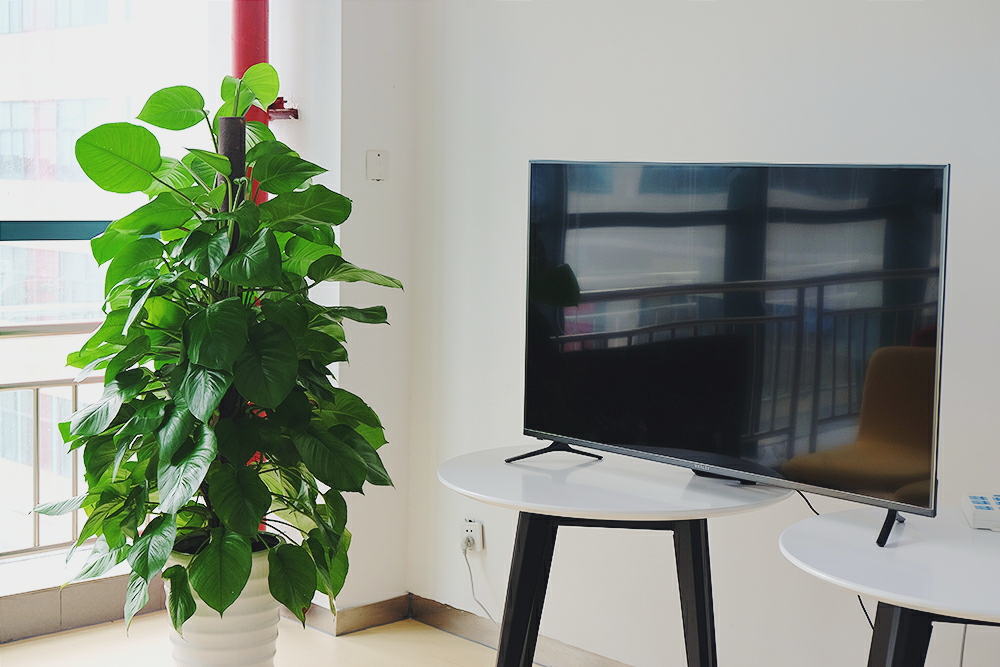 乐视性能最好的手机,乐视的最大对手是谁