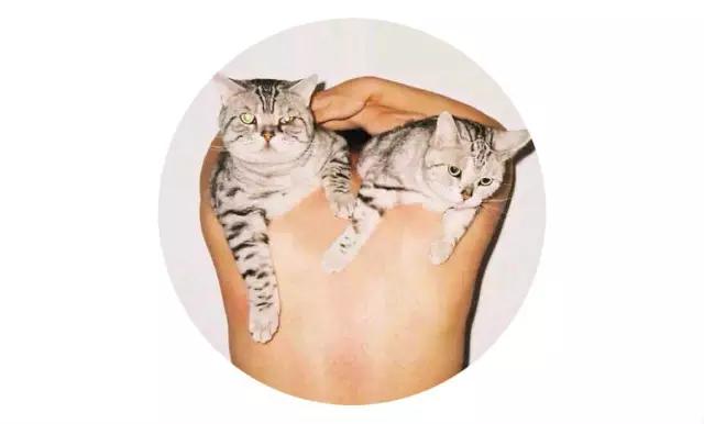 上海领养代替购买,上海领养孩子有补贴吗