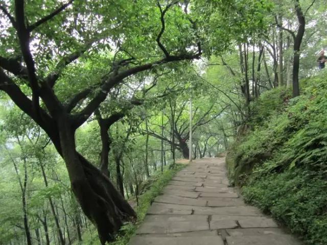 重庆是不是又出名了,为什么重庆在全国名气那么大