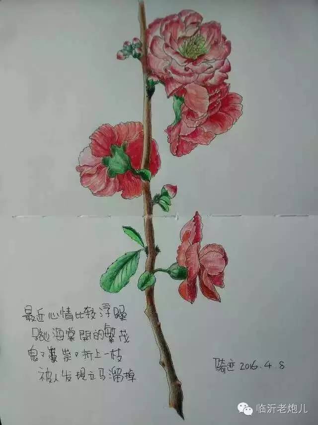 带着书本去旅行绘画,带着旅行箱去旅行绘画