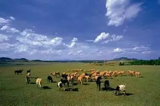 人间四月天，醉美是寻甸！