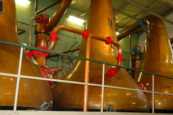 这是以甘蔗为原料酿出来的蒸馏烈酒