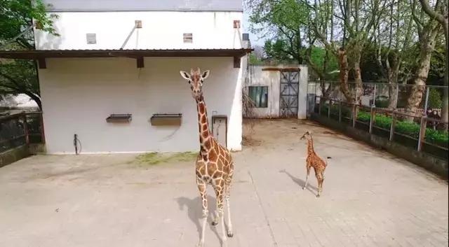 鎴戞兂鍘诲北椤剁湅椋庢櫙,鎴戝彧鎯冲幓灞遍《鐪嬫洿缇庣殑椋庢櫙