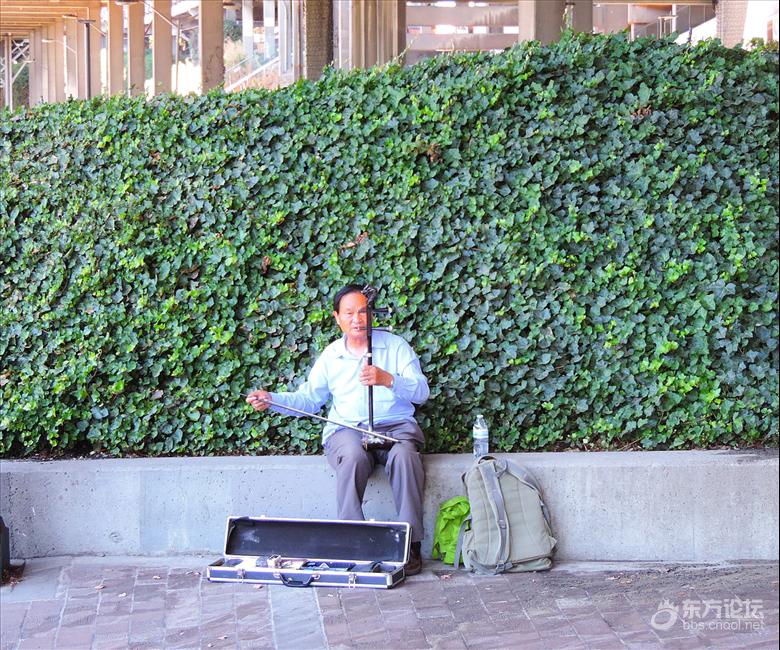 西雅图油价,西雅图油价多少钱