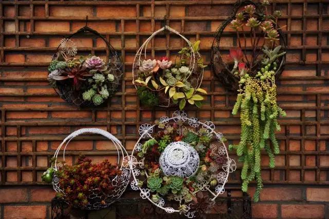 春田花花好物分享,春田花花创作的原创