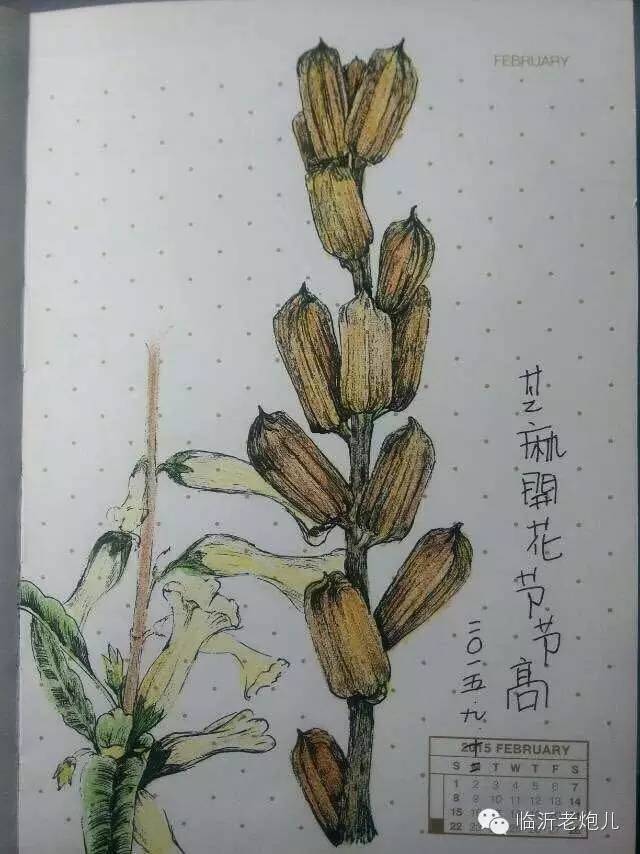 带着书本去旅行绘画,带着旅行箱去旅行绘画