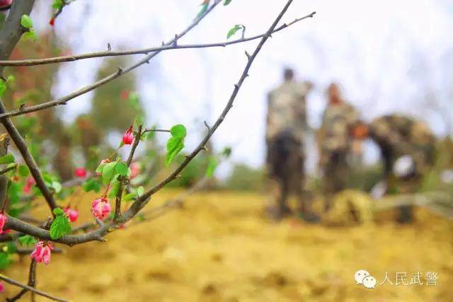 部队真的很忙吗,部队里不干活会怎么样