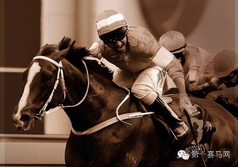 李嘉欣爱彼,李嘉欣全球环球小姐冠军