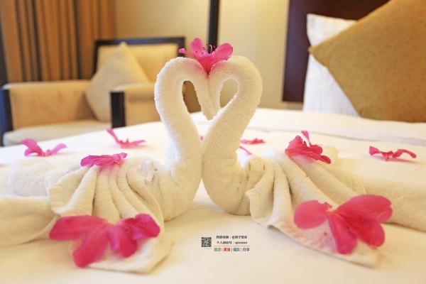 有一种春天叫牡丹花开,有一种春天叫花开艳丽