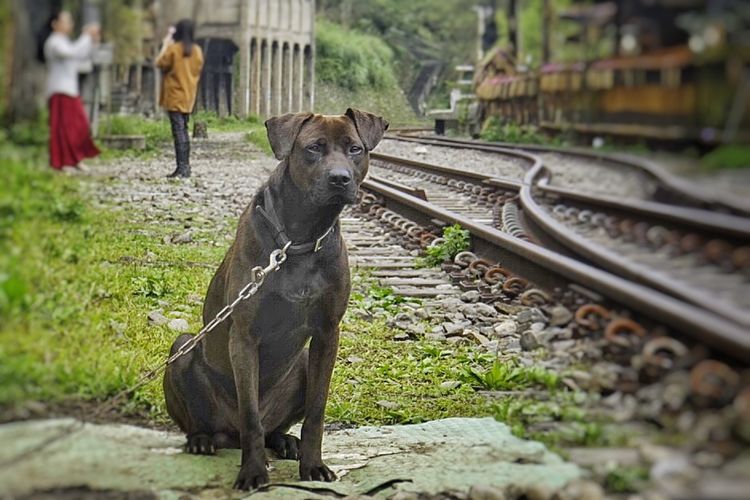 台湾游记自由行,台湾环岛旅行记