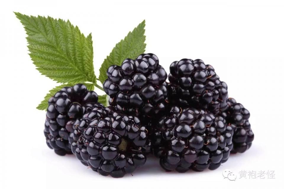 减重期间适合吃什么水果,减肥吃什么水果好快速瘦肚子