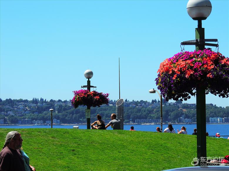 西雅图油价,西雅图油价多少钱