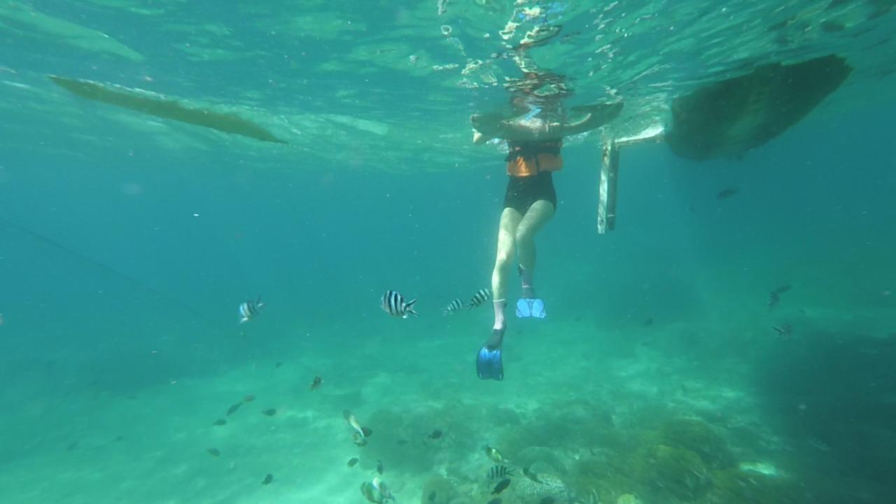 带上这五条攻略再说走就走巴厘岛