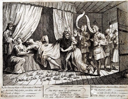 女生生兔子宝宝,女人生兔子