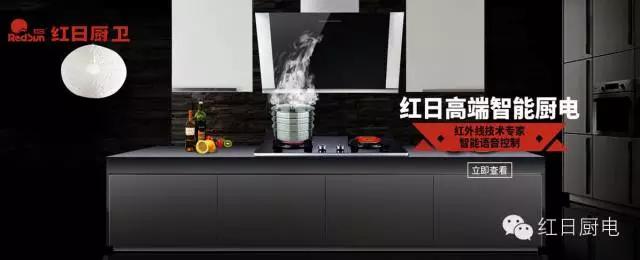 红日油烟机吸力怎么样,红日油烟机红外线灶组合
