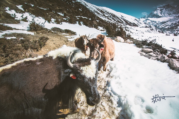 2023年中国史诗级十大徒步路线,徒步旅行路线攻略