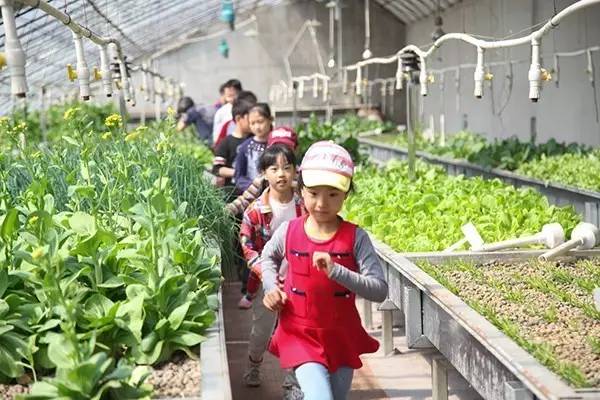 假日里我们在乐葵!你呢?