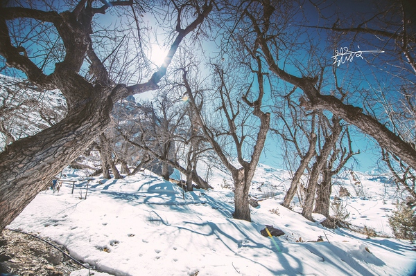 2023年中国史诗级十大徒步路线,徒步旅行路线攻略