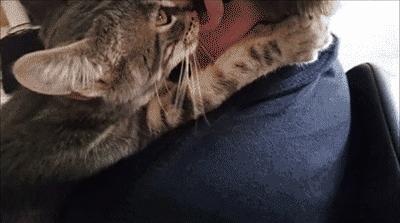 被养生会所忽悠办卡可以报警吗,经常被按摩店忽悠办卡