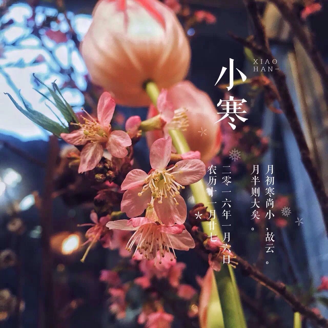 她把眼前的寻常，变成了诗和远方