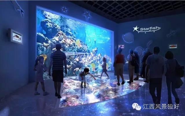 南昌万达海洋乐园在哪里,南昌万达海洋乐园主题公园