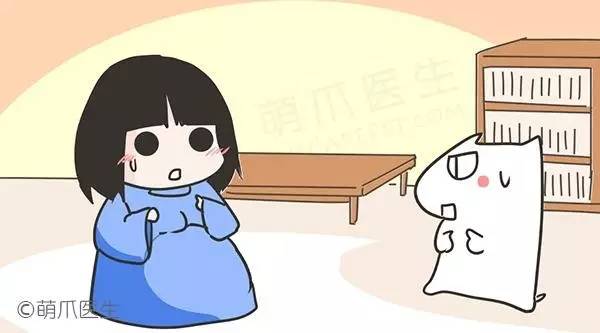 怀孕养狗新手入门必知,怀孕了养狗注意事项