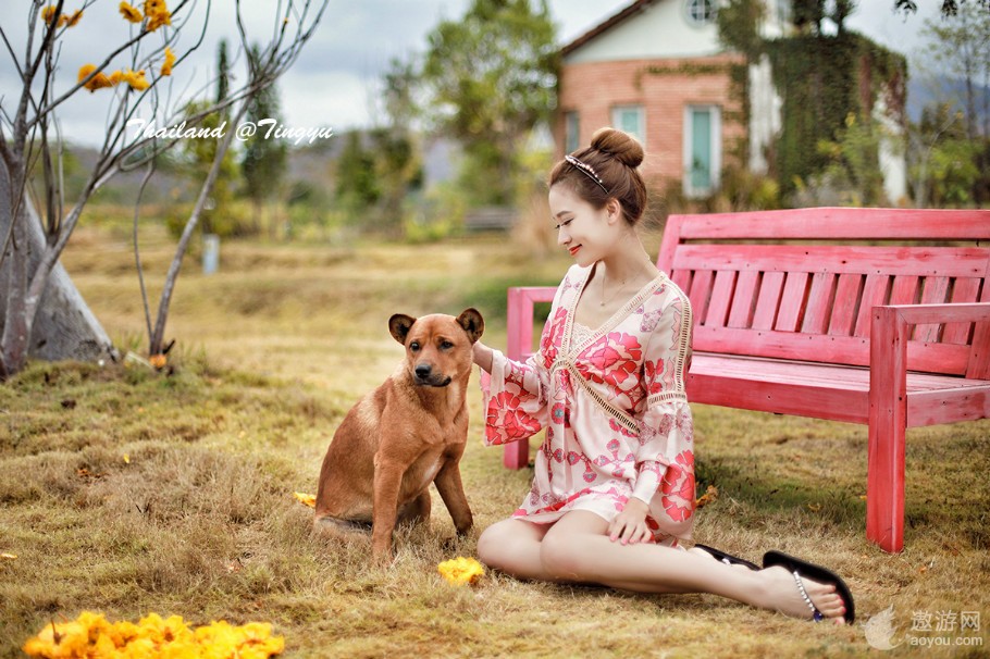 旅游攻略泰国免费,攻略带你了解最美的泰国景点