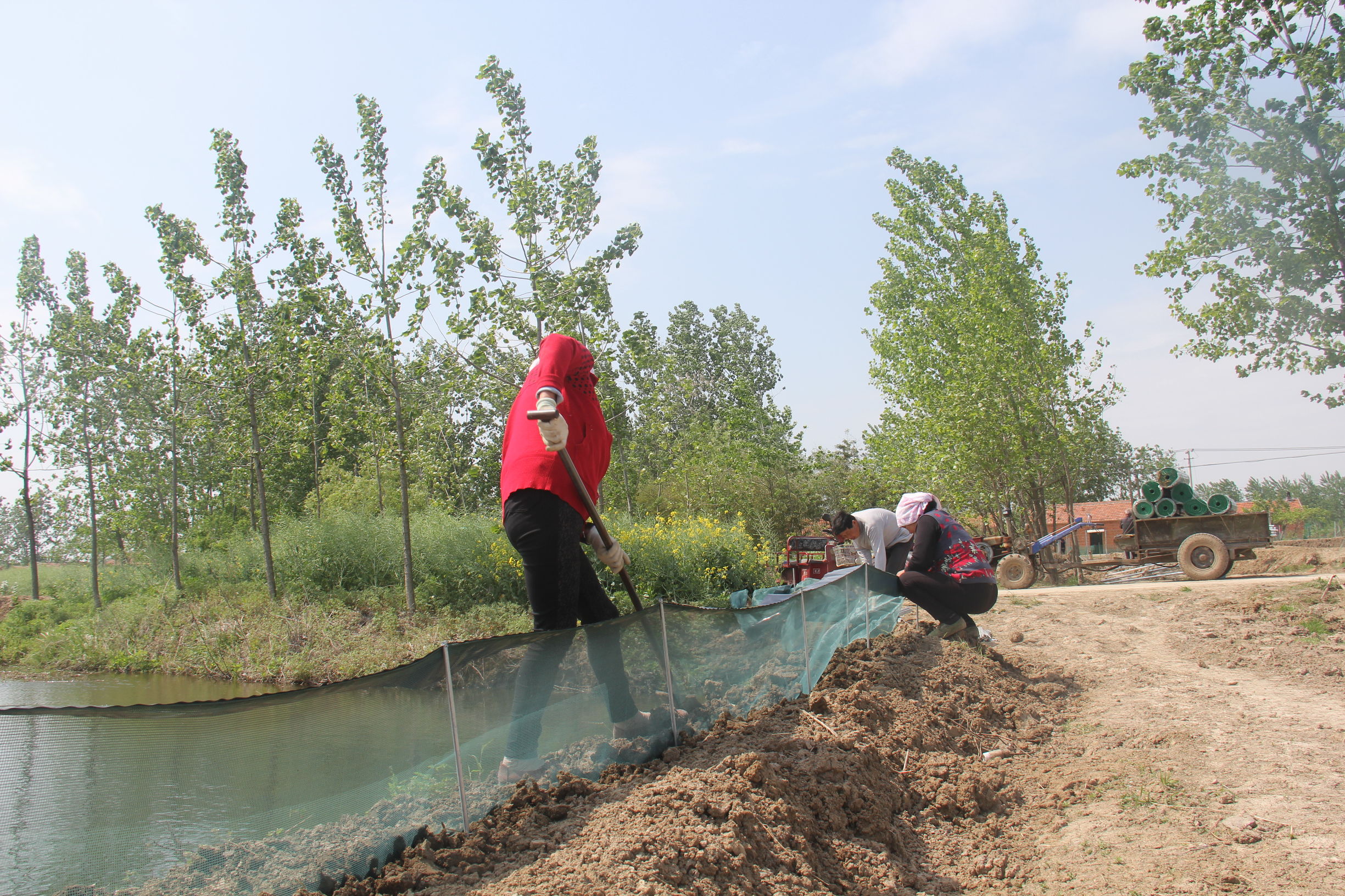 小龙虾养殖防逃跑方法,小龙虾习性不怕太阳