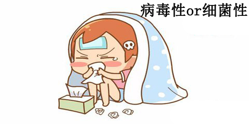 如何区分病毒性和细菌性感冒，感冒初期如何用药