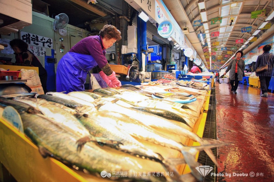 瀵诲疂璧拌繘鍝簺鍩庡競,瀵诲疂澶栧浗娴峰矝