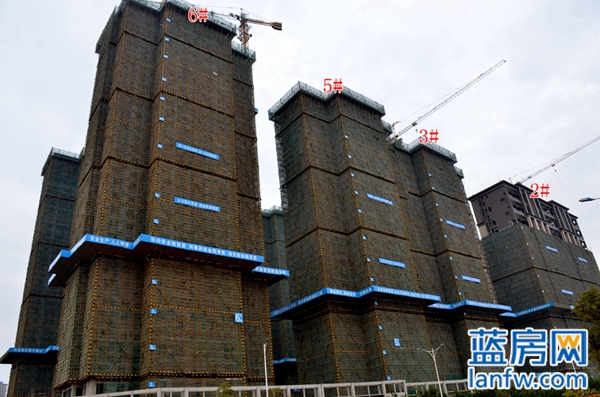 东海湾十二宴一期,东海湾十二宴露台