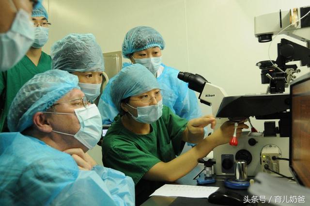 试管婴儿从开始到成功需要多久,试管婴儿到哪一步才是真正成功