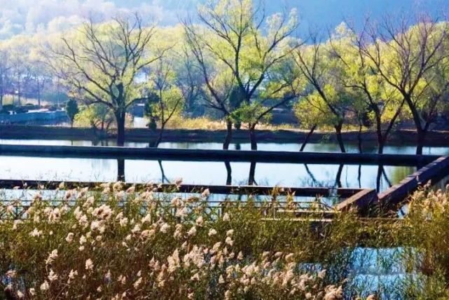 北京四个踏青必备的免费公园,北京小众湿地公园