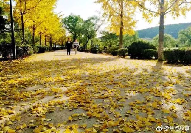 北京四个踏青必备的免费公园,北京小众湿地公园