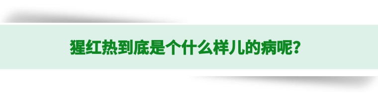 猩红热夏季,猩红热要保暖吗