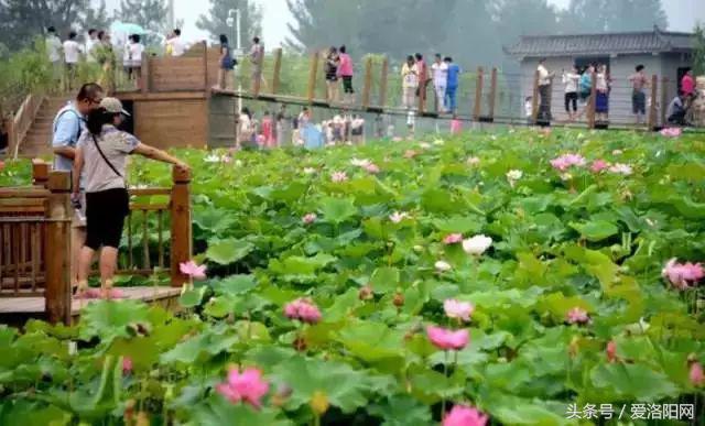 孟津是属于什么地方的,为什么叫延津孟津