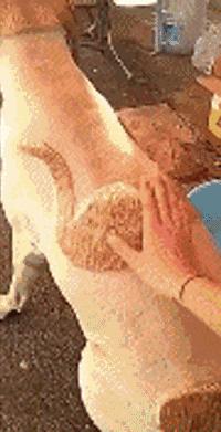 网友家的猫坐键盘上，偶然竟打出这几个字，可以说，细思极恐了！