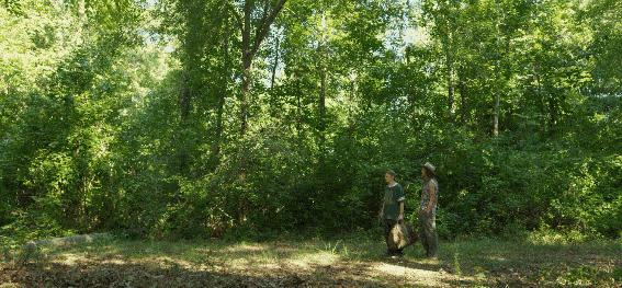 穿条纹的007，请叫我邦德土炮博士！