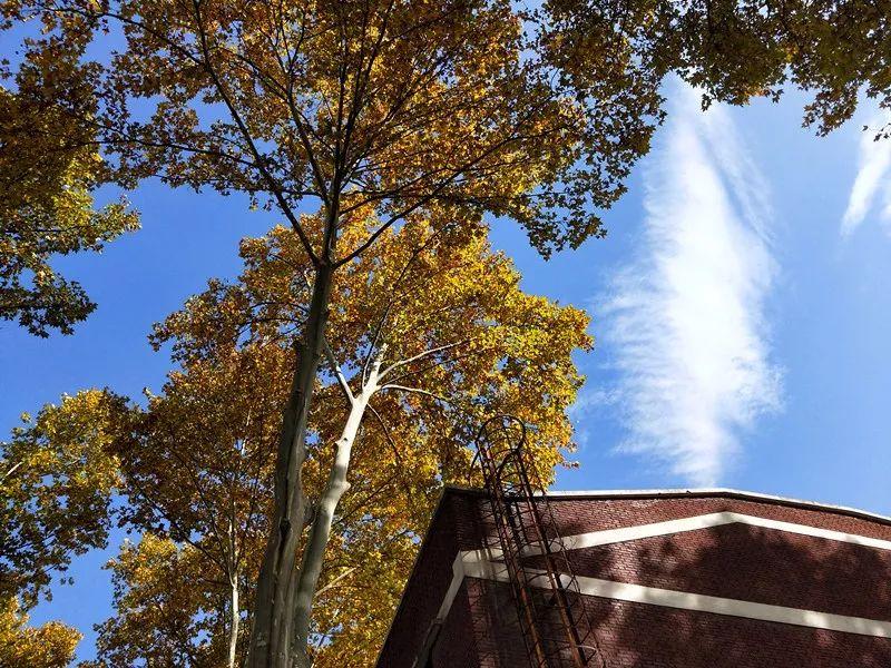 艺术乡愁文化创意街区,城市核心区域文化创意