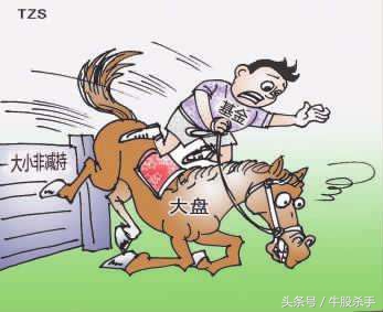 股票学的书籍,股票书看不懂