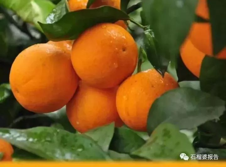 有什么兼职一天能赚30到50块,一天能赚几百万的工作