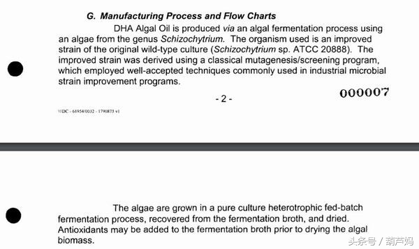 怀孕饮食禁忌辟谣,怀孕怎么补肾气