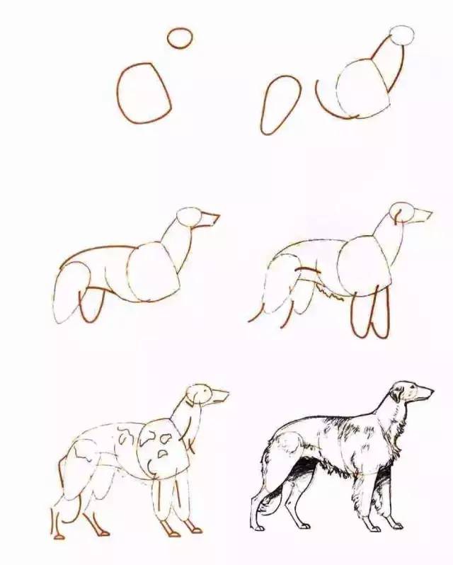 公园风景简笔画怎么画又好看简单,画一幅简笔画既简单又好看